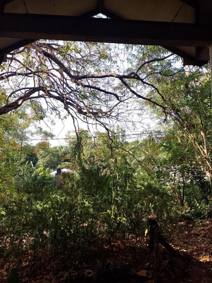 Kon Tree Shade Apartment Dambulla Exterior photo